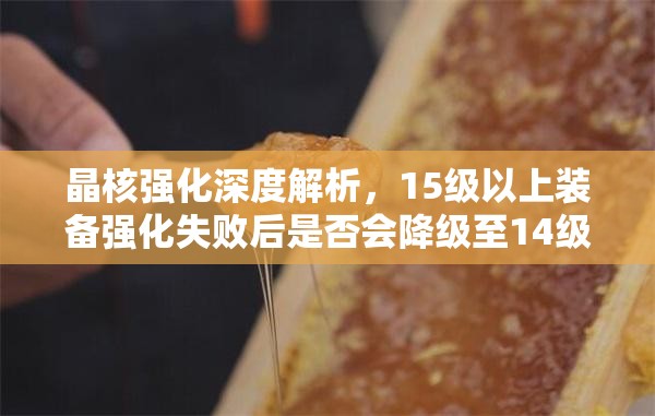 晶核強(qiáng)化深度解析，15級(jí)以上裝備強(qiáng)化失敗后是否會(huì)降級(jí)至14級(jí)真相揭秘