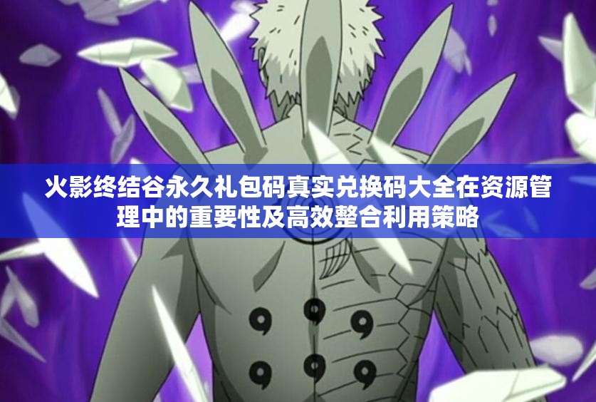 火影終結(jié)谷永久禮包碼真實(shí)兌換碼大全在資源管理中的重要性及高效整合利用策略