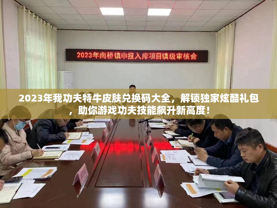 2023年我功夫特牛皮膚兌換碼大全，解鎖獨(dú)家炫酷禮包，助你游戲功夫技能飆升新高度！