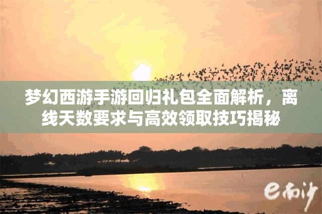 夢幻西游手游回歸禮包全面解析，離線天數(shù)要求與高效領取技巧揭秘