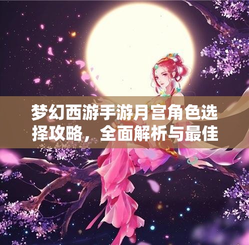 夢幻西游手游月宮角色選擇攻略，全面解析與最佳角色推薦大揭秘