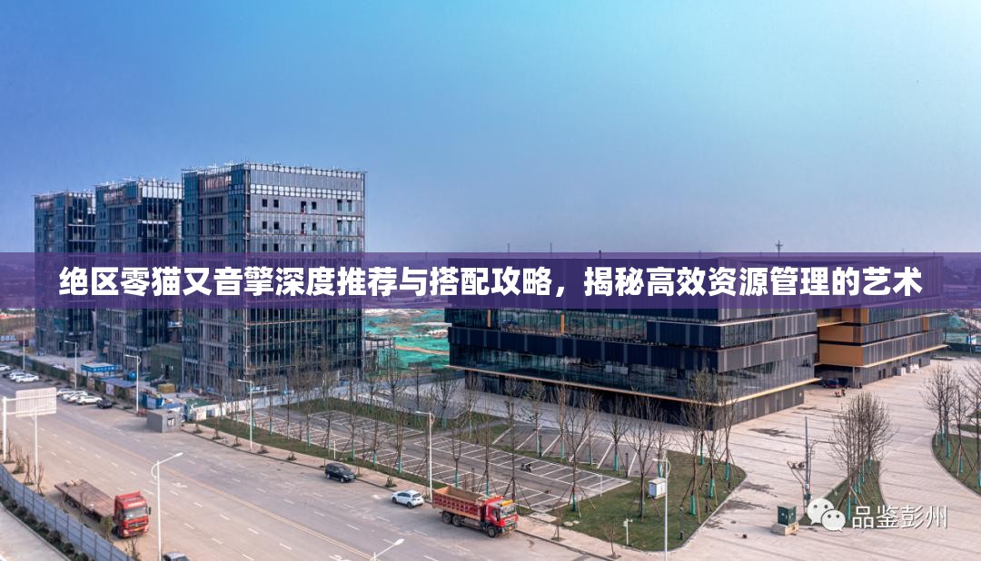 絕區(qū)零貓又音擎深度推薦與搭配攻略，揭秘高效資源管理的藝術(shù)