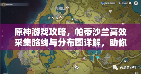 原神游戲攻略，帕蒂沙蘭高效采集路線與分布圖詳解，助你優(yōu)化資源管理策略