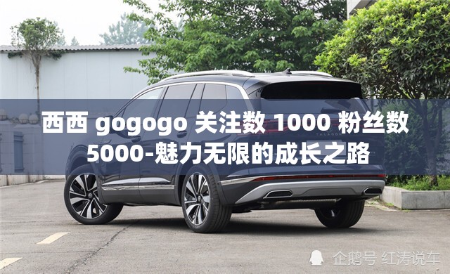西西 gogogo 關(guān)注數(shù) 1000 粉絲數(shù) 5000-魅力無(wú)限的成長(zhǎng)之路