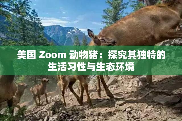 美國 Zoom 動物豬：探究其獨(dú)特的生活習(xí)性與生態(tài)環(huán)境