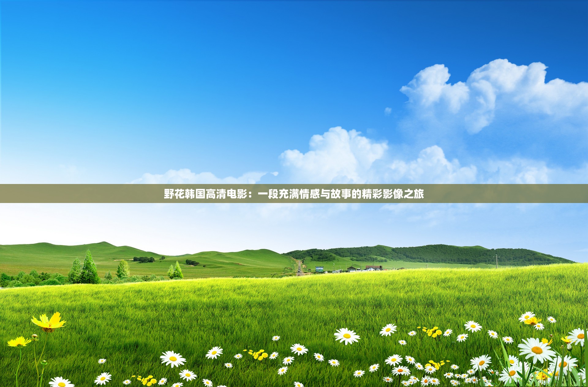野花韓國高清電影：一段充滿情感與故事的精彩影像之旅