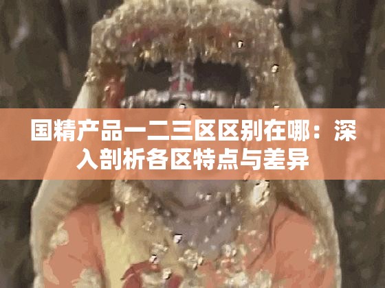 國精產(chǎn)品一二三區(qū)區(qū)別在哪：深入剖析各區(qū)特點(diǎn)與差異