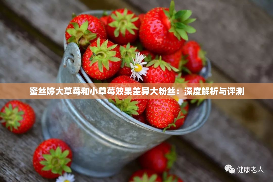 蜜絲婷大草莓和小草莓效果差異大粉絲：深度解析與評測