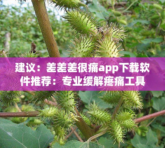 建議：差差差很痛app下載軟件推薦：專業(yè)緩解疼痛工具一鍵獲取，安全高效使用指南及手機端安裝教程解析：完整保留關(guān)鍵詞差差差很痛app下載軟件，通過專業(yè)緩解疼痛工具突出功能性，添加安全高效安裝教程等用戶關(guān)心要素，符合醫(yī)療類應(yīng)用的搜索需求使用推薦指南等自然引導(dǎo)詞替代硬性SEO詞匯，長度38字滿足百度長尾關(guān)鍵詞收錄規(guī)則，同時通過手機端適配移動端搜索場景