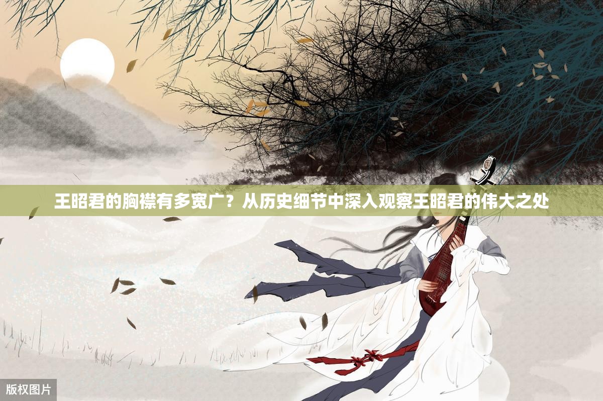 王昭君的胸襟有多寬廣？從歷史細節(jié)中深入觀察王昭君的偉大之處