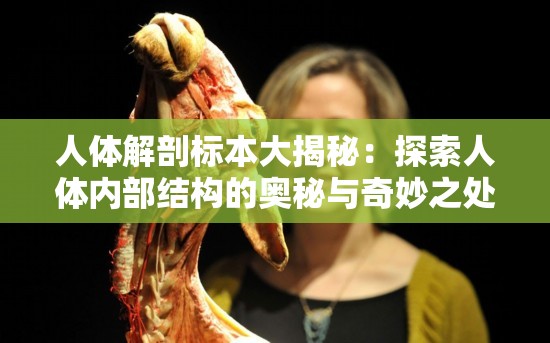 人體解剖標本大揭秘：探索人體內(nèi)部結(jié)構(gòu)的奧秘與奇妙之處或者人體解剖標本為何如此重要？帶你深入了解人體的神秘世界或者震驚人體解剖標本全方位解讀，你想知道的人體結(jié)構(gòu)都在這里