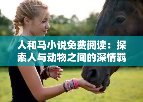 人和馬小說免費(fèi)閱讀：探索人與動(dòng)物之間的深情羈絆與命運(yùn)交織