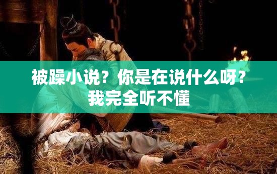 被躁小說？你是在說什么呀？我完全聽不懂