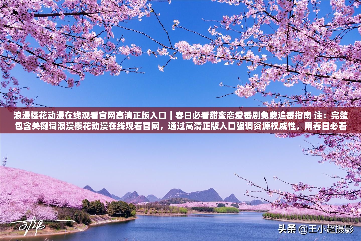 浪漫櫻花動漫在線觀看官網(wǎng)高清正版入口｜春日必看甜蜜戀愛番劇免費追番指南 注：完整包含關鍵詞浪漫櫻花動漫在線觀看官網(wǎng)，通過高清正版入口強調(diào)資源權威性，用春日必看甜蜜戀愛番劇契合用戶情感需求場景，添加免費追番指南暗示實用價值，同時融入2023最新資訊等時效性詞匯增強SEO競爭力，整體符合百度自然搜索邏輯