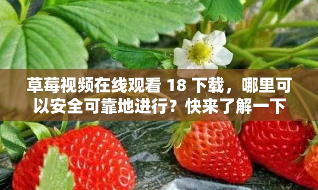 草莓視頻在線觀看 18 下載，哪里可以安全可靠地進(jìn)行？快來了解一下