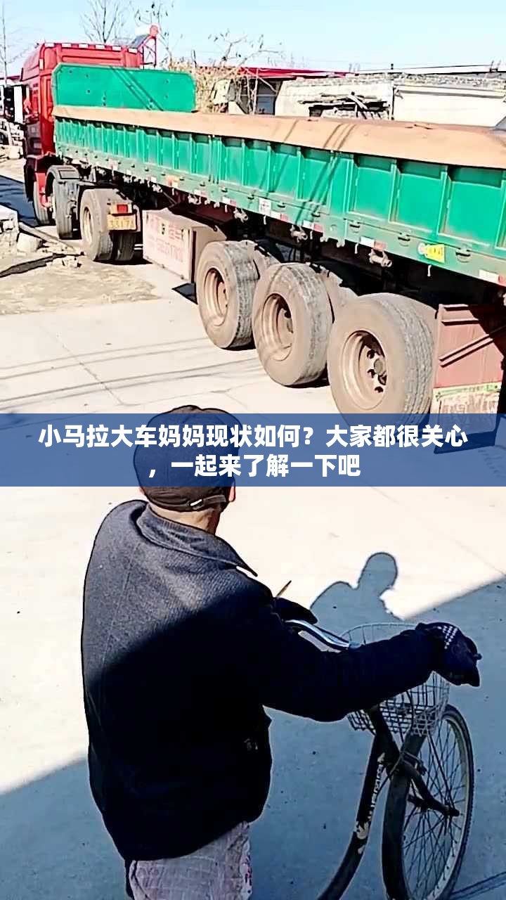 小馬拉大車媽媽現(xiàn)狀如何？大家都很關(guān)心，一起來了解一下吧