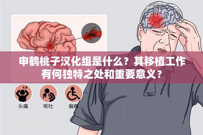 申鶴桃子漢化組是什么？其移植工作有何獨(dú)特之處和重要意義？