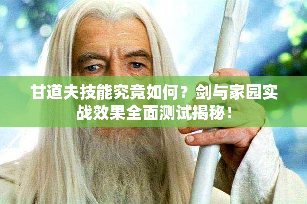 甘道夫技能究竟如何？劍與家園實(shí)戰(zhàn)效果全面測(cè)試揭秘！