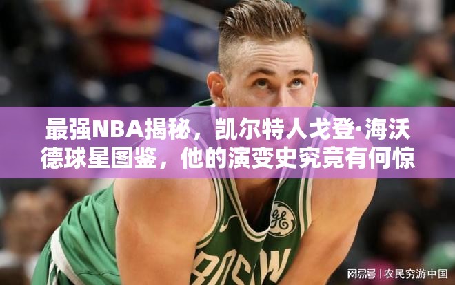 最強(qiáng)NBA揭秘，凱爾特人戈登·海沃德球星圖鑒，他的演變史究竟有何驚人之處？