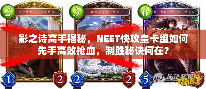 影之詩(shī)高手揭秘，NEET快攻皇卡組如何先手高效搶血，制勝秘訣何在？