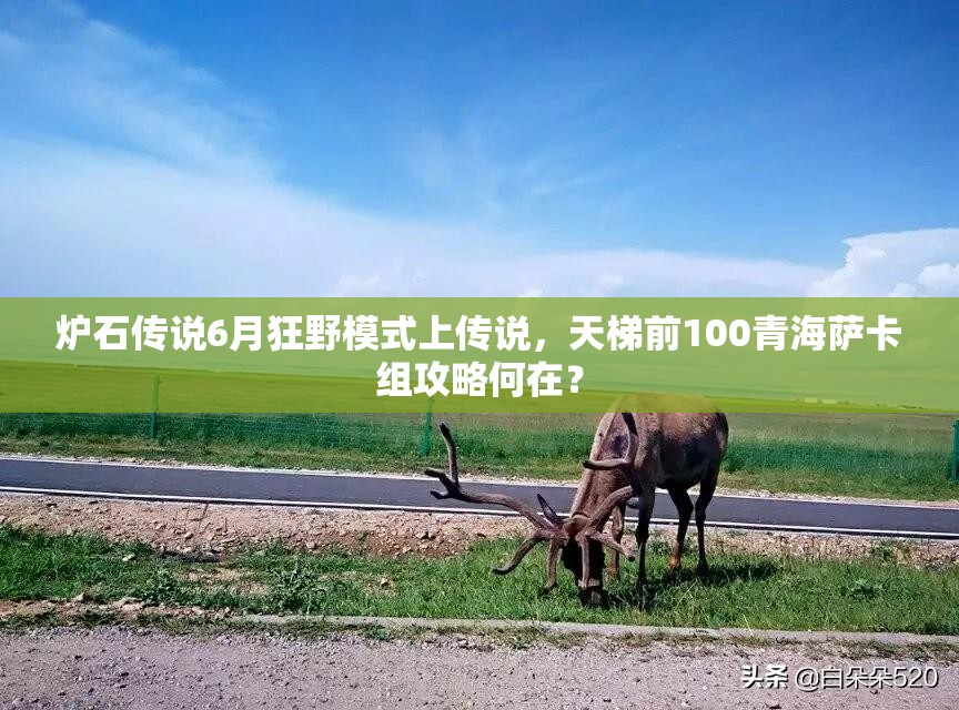 爐石傳說6月狂野模式上傳說，天梯前100青海薩卡組攻略何在？