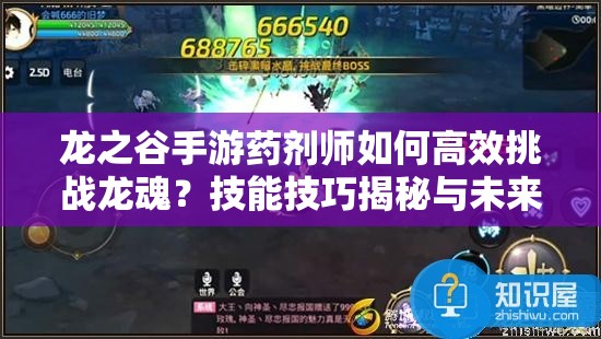 龍之谷手游藥劑師如何高效挑戰(zhàn)龍魂？技能技巧揭秘與未來(lái)玩法展望
