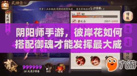 陰陽(yáng)師手游，彼岸花如何搭配御魂才能發(fā)揮最大威力？