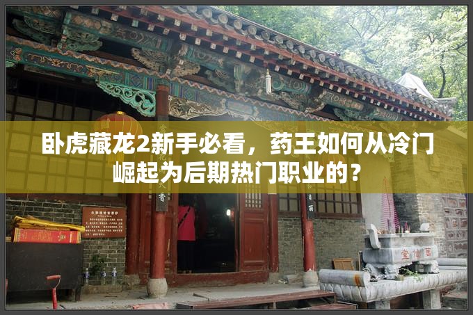 臥虎藏龍2新手必看，藥王如何從冷門崛起為后期熱門職業(yè)的？