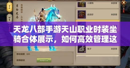 天龍八部手游天山職業(yè)時裝坐騎合體展示，如何高效管理這些炫酷資源？