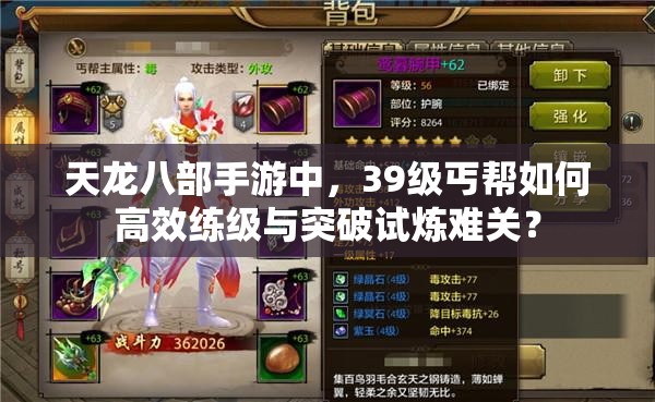 天龍八部手游中，39級丐幫如何高效練級與突破試煉難關(guān)？