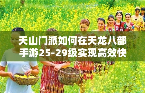 天山門(mén)派如何在天龍八部手游25-29級(jí)實(shí)現(xiàn)高效快速升級(jí)？