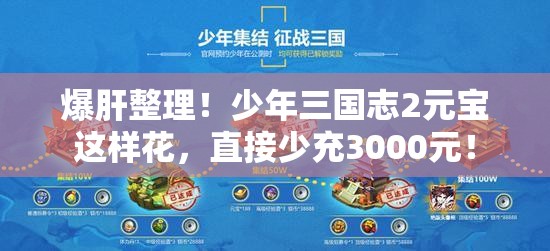 爆肝整理！少年三國志2元寶這樣花，直接少充3000元！