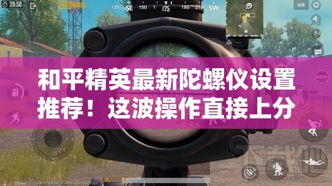 和平精英最新陀螺儀設置推薦！這波操作直接上分如喝水